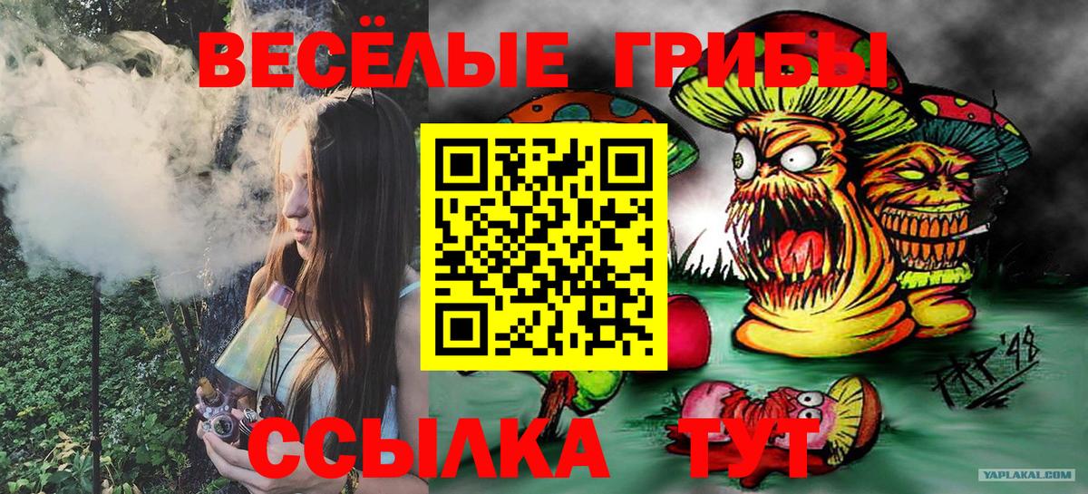 Псилоцибиновые грибы мицелий Мариинск