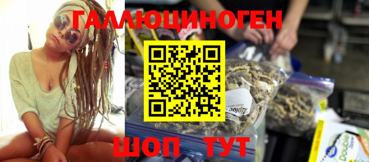 Мариинск  Псилоцибиновые грибы Psilocybine cubensis  Вход с VPN  Псилоцибиновые грибы GOLDEN TEACHER 